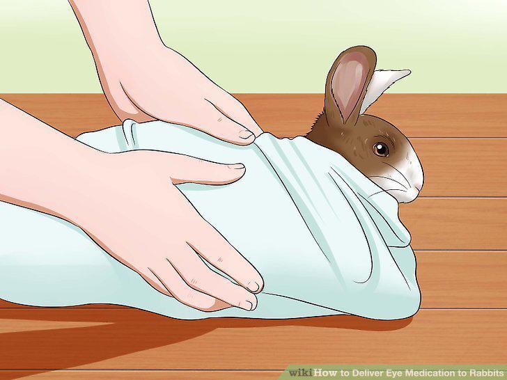 Step 3