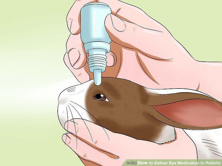 Step 7