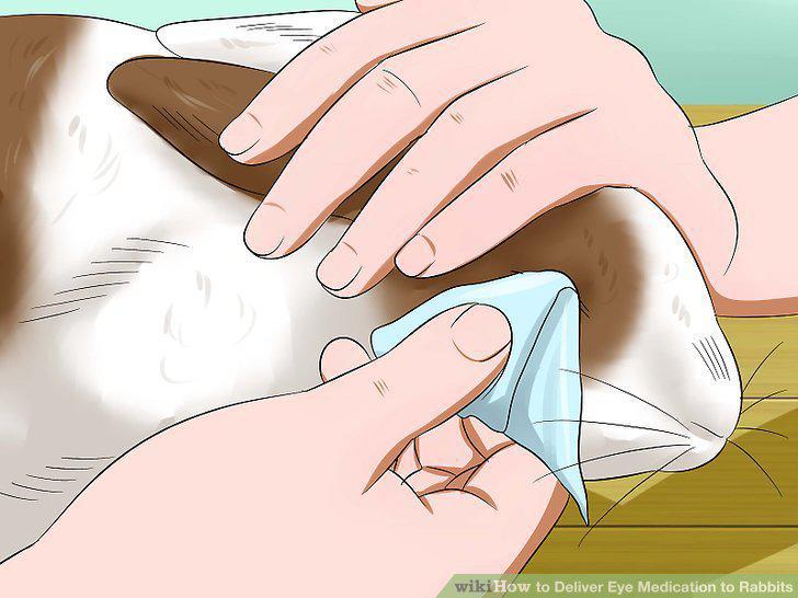 Step 8