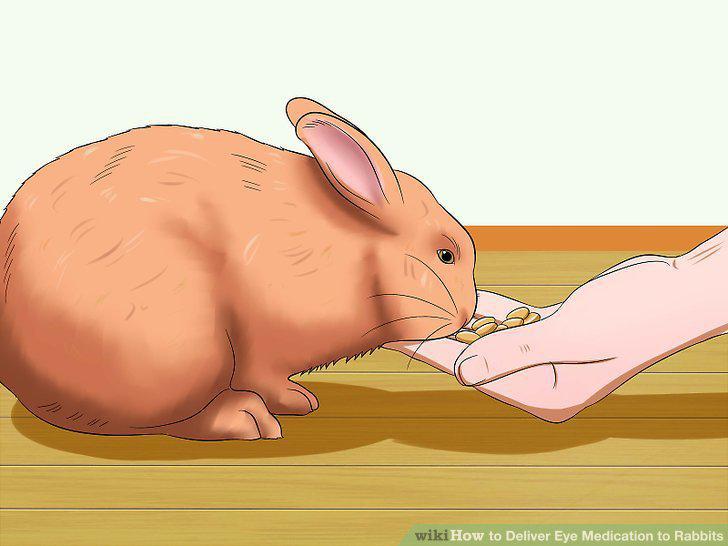 Step 9