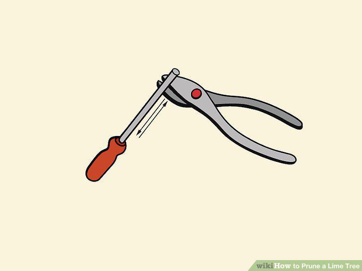 Step 5