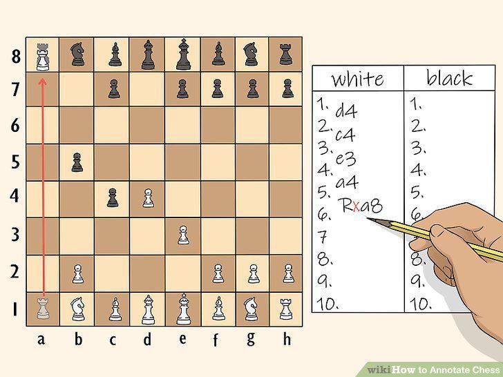 Step 5