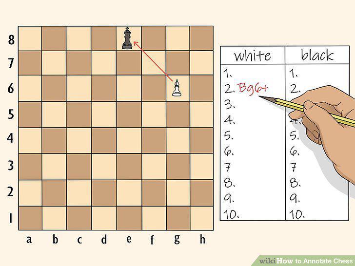 Step 8