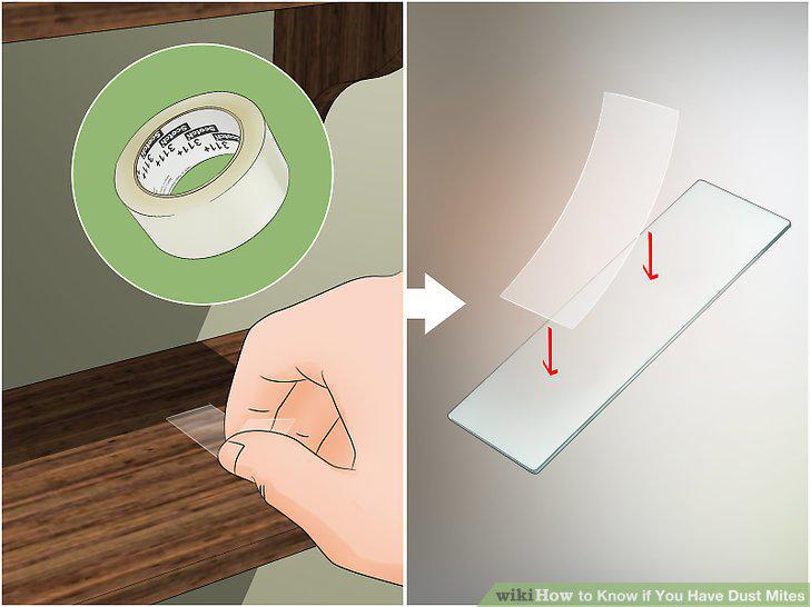 Step 2