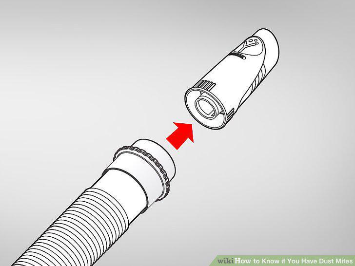Step 11