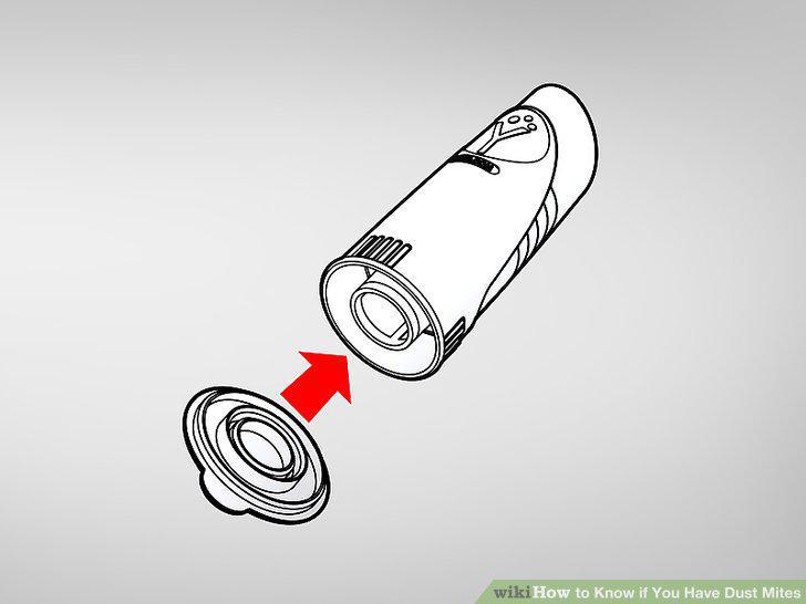 Step 12