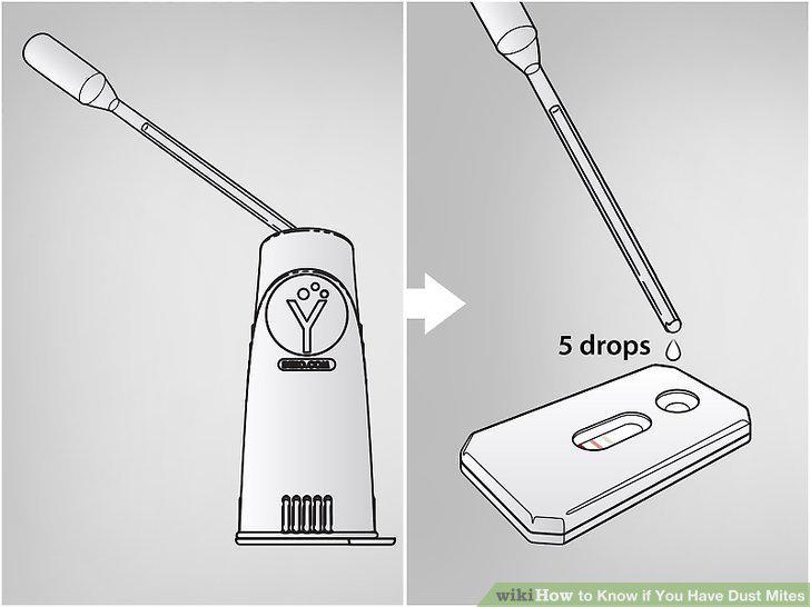 Step 14