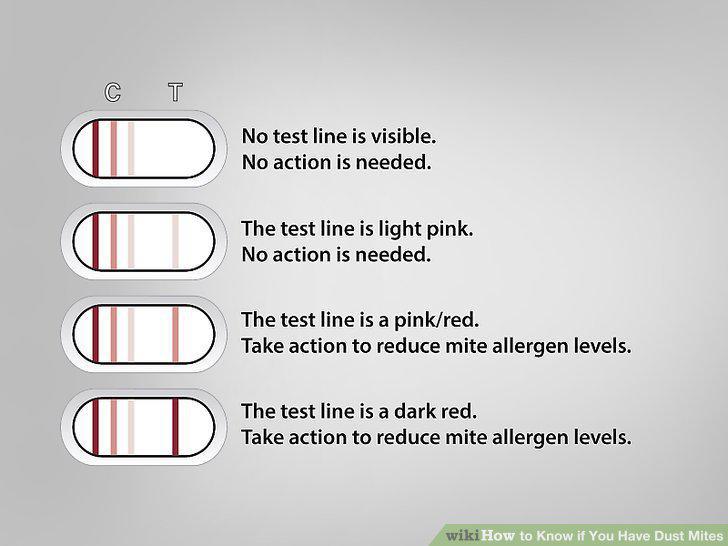 Step 15