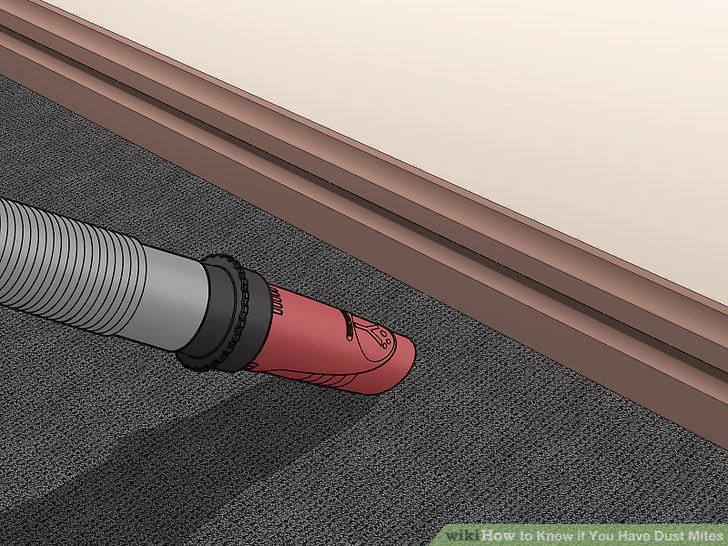Step 16