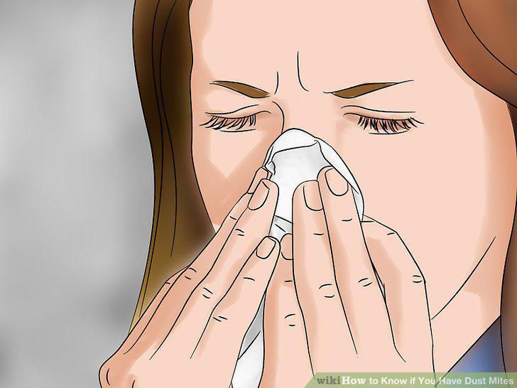 Step 17