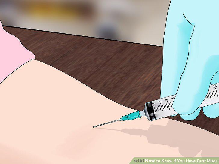 Step 19