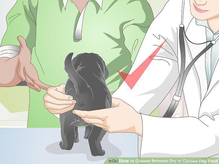 Step 14