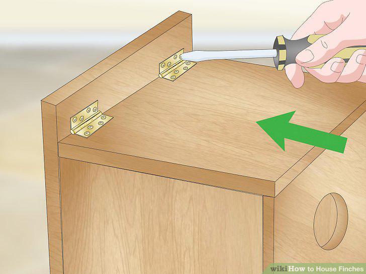 Step 11