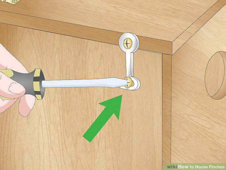 Step 12