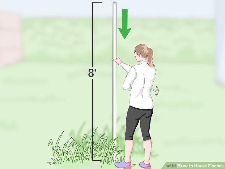 Step 14
