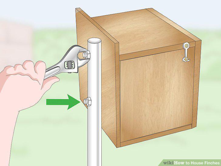 Step 15