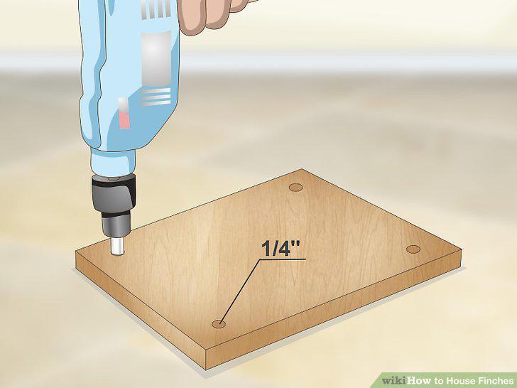 Step 5