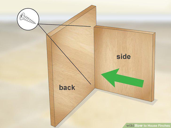 Step 6