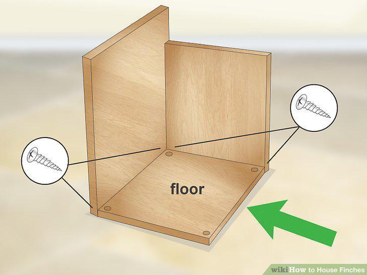 Step 7