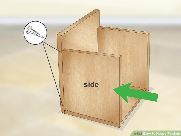 Step 8