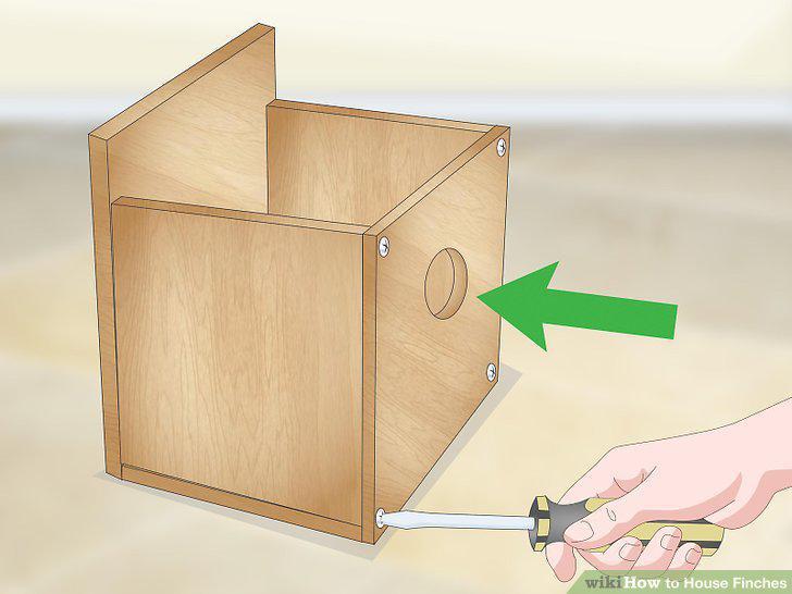 Step 9