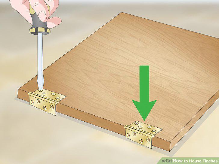 Step 10