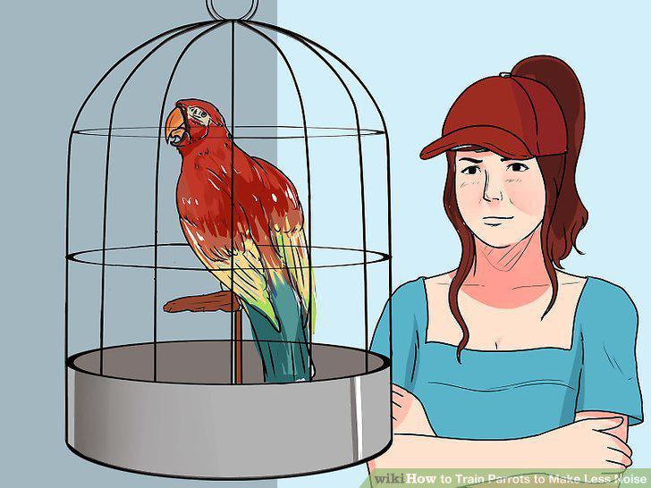 Step 11