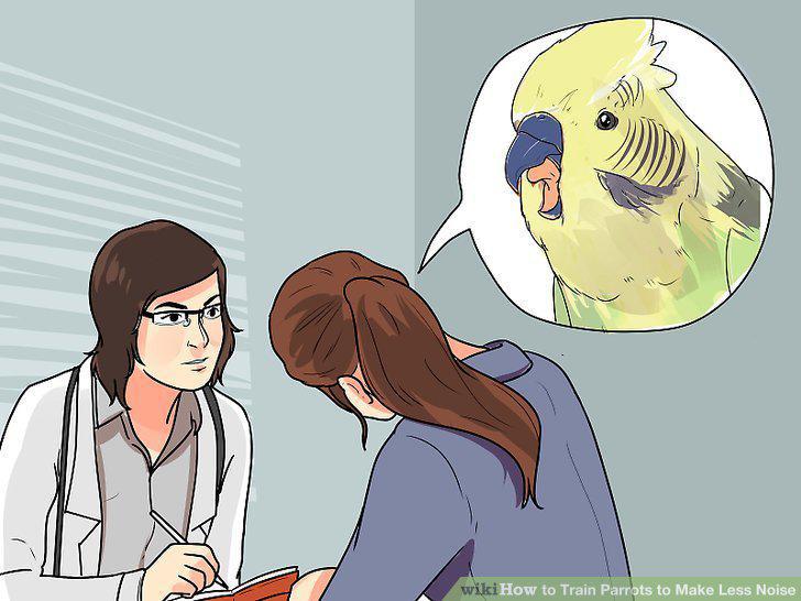 Step 12
