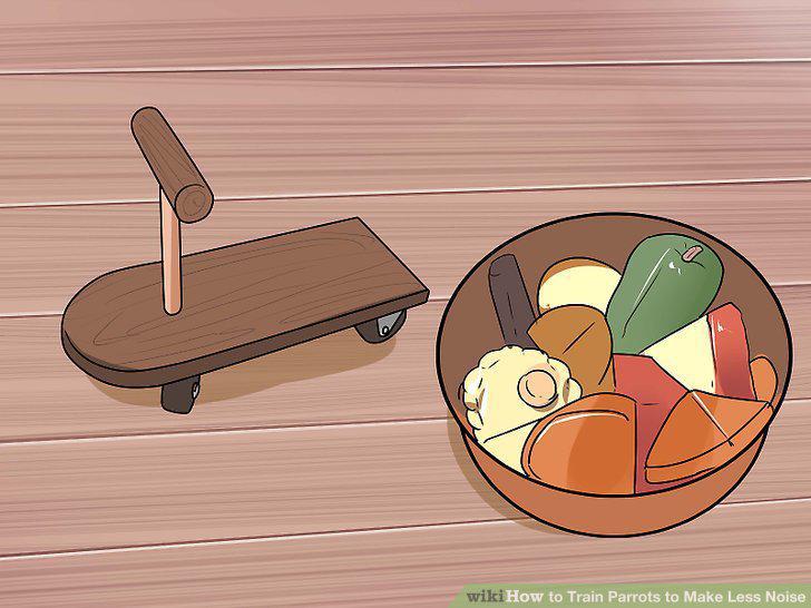 Step 13