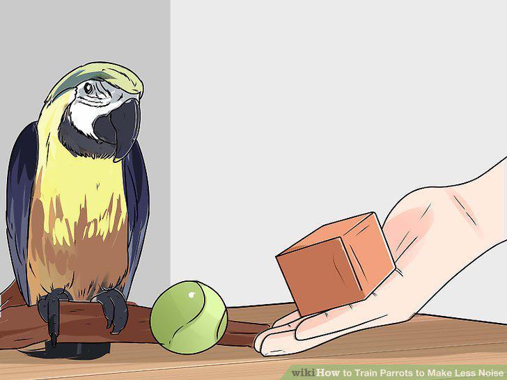 Step 14