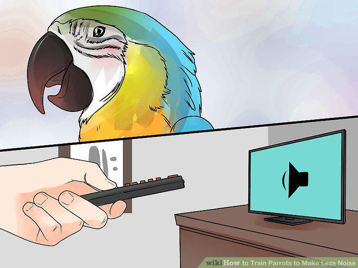 Step 9