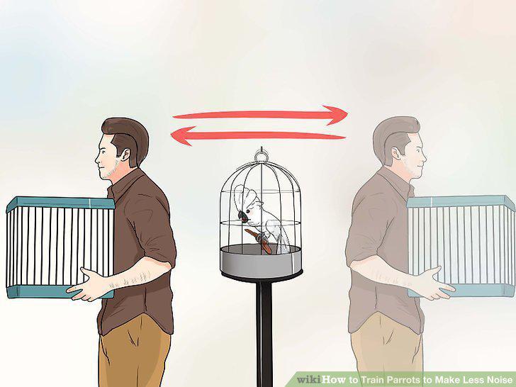 Step 10