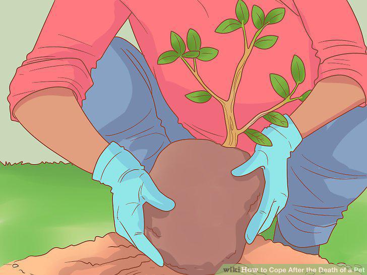 Step 11