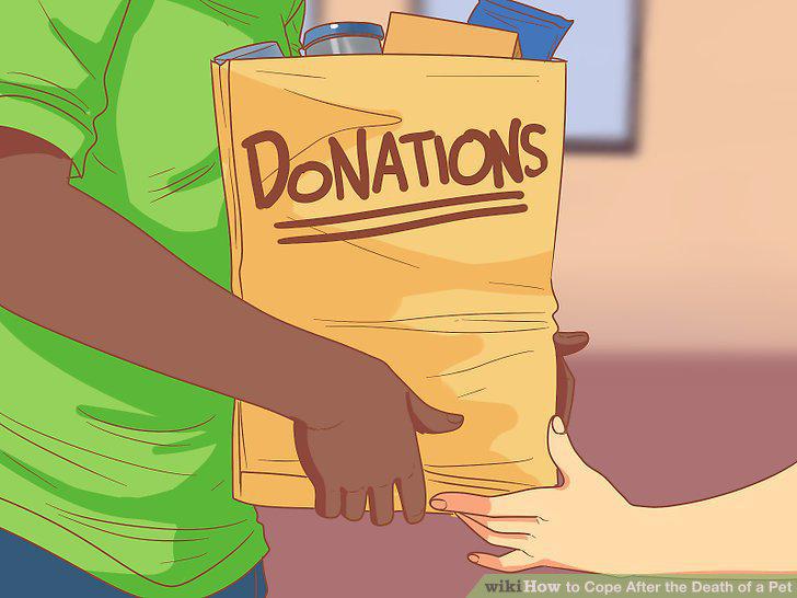 Step 12