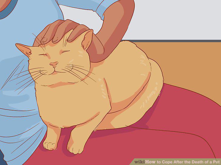 Step 13