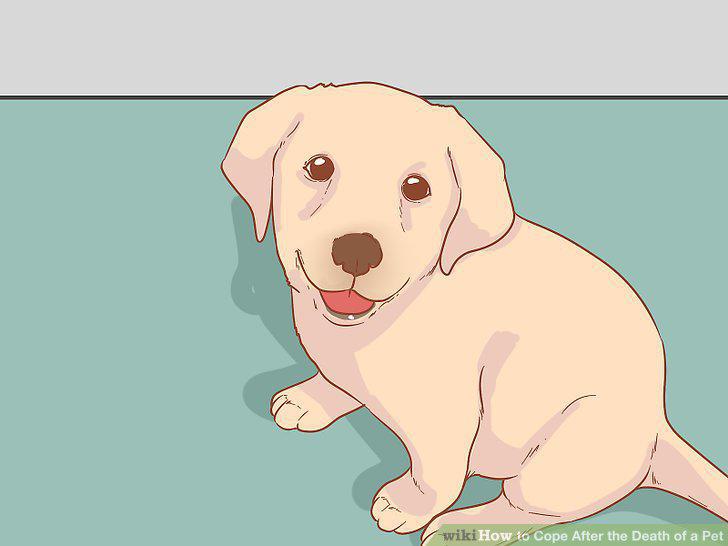 Step 14