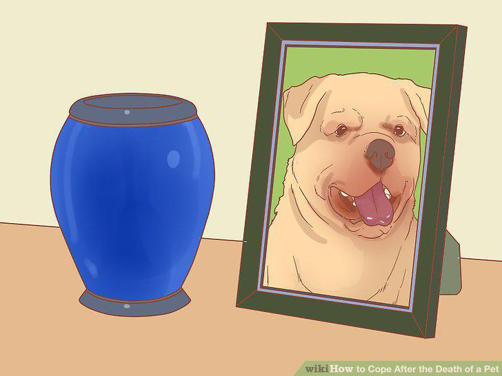 Step 10
