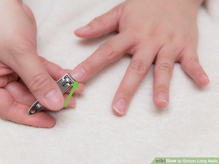 Step 10