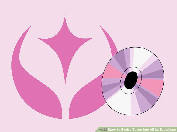Step 17