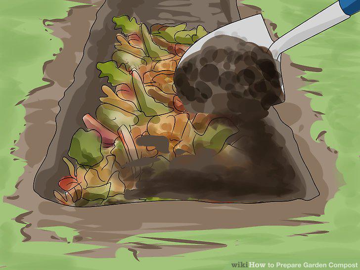 Step 11