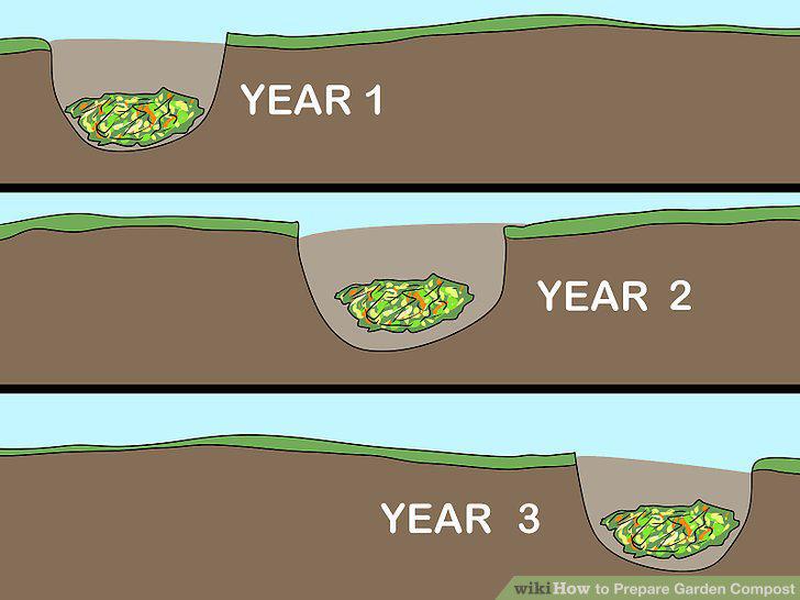 Step 12