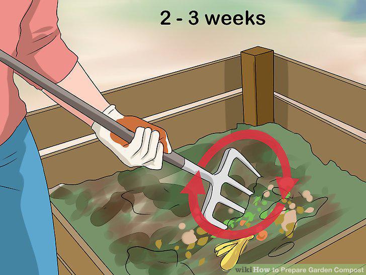 Step 8