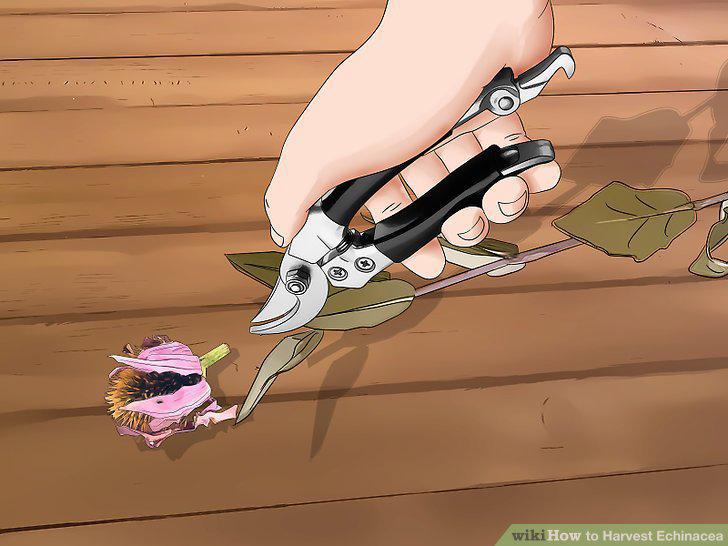 Step 11