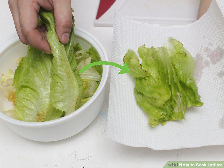 Step 15