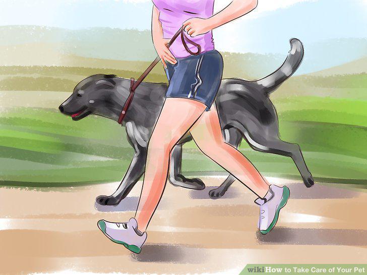 Step 11