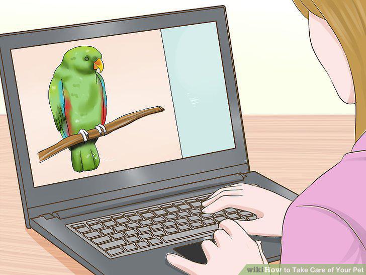 Step 12
