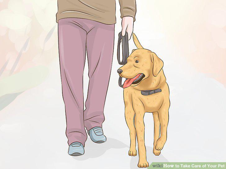 Step 13
