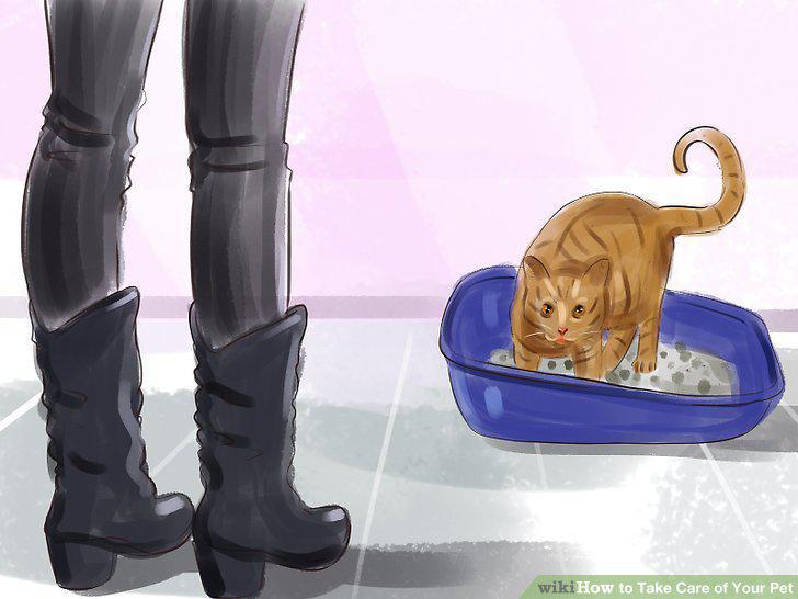Step 14