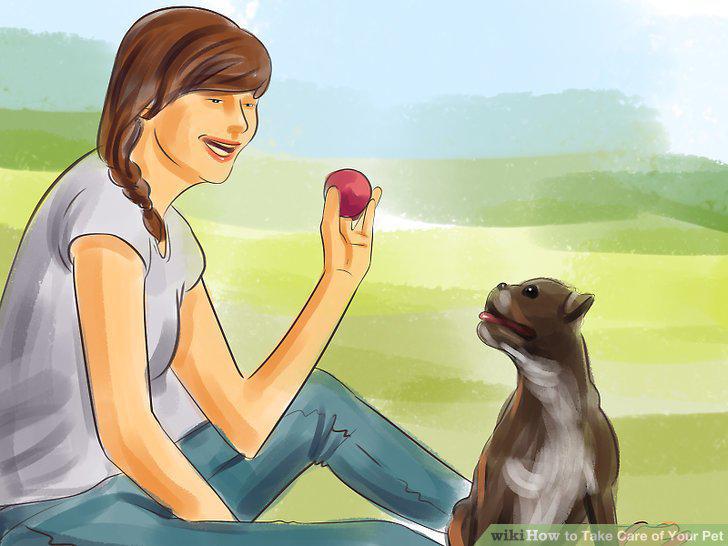 Step 15