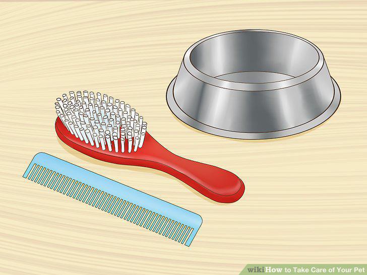 Step 6
